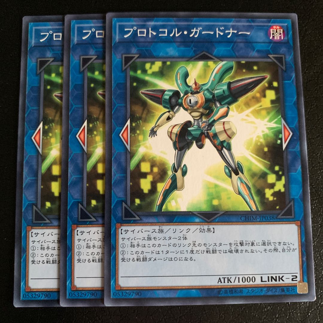 プロトコル・ガードナー ノーマル