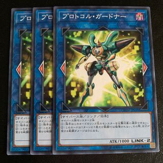 プロトコル・ガードナー ノーマル