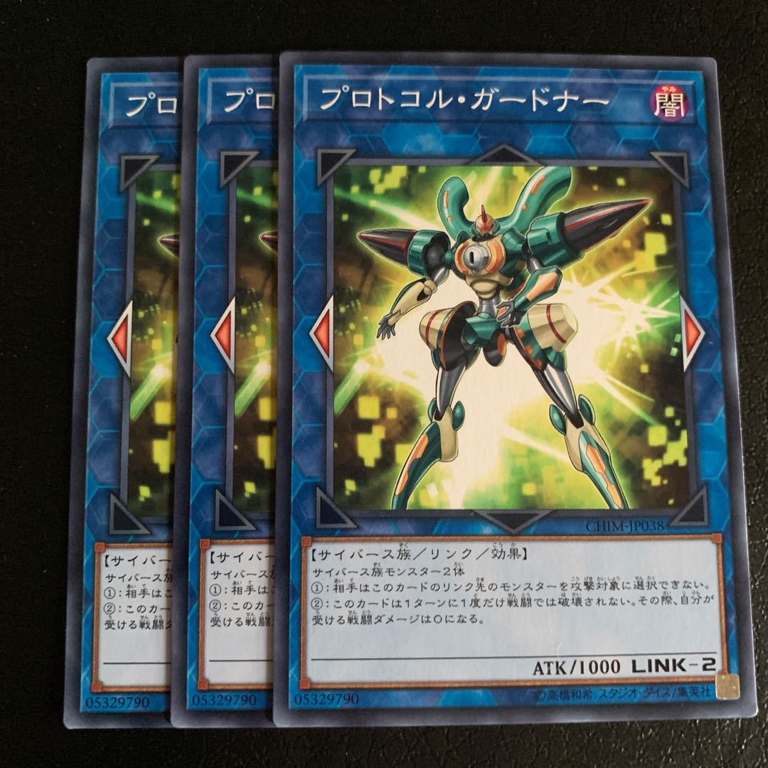 プロトコル・ガードナー ノーマル