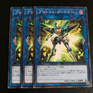 プロトコル・ガードナー ノーマル