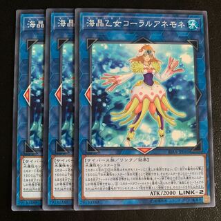 海晶乙女コーラルアネモネ ノーマル