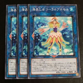 海晶乙女コーラルアネモネ ノーマル