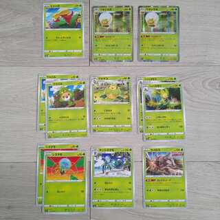 ワタシラガ R　ハハコモリ　カイロス