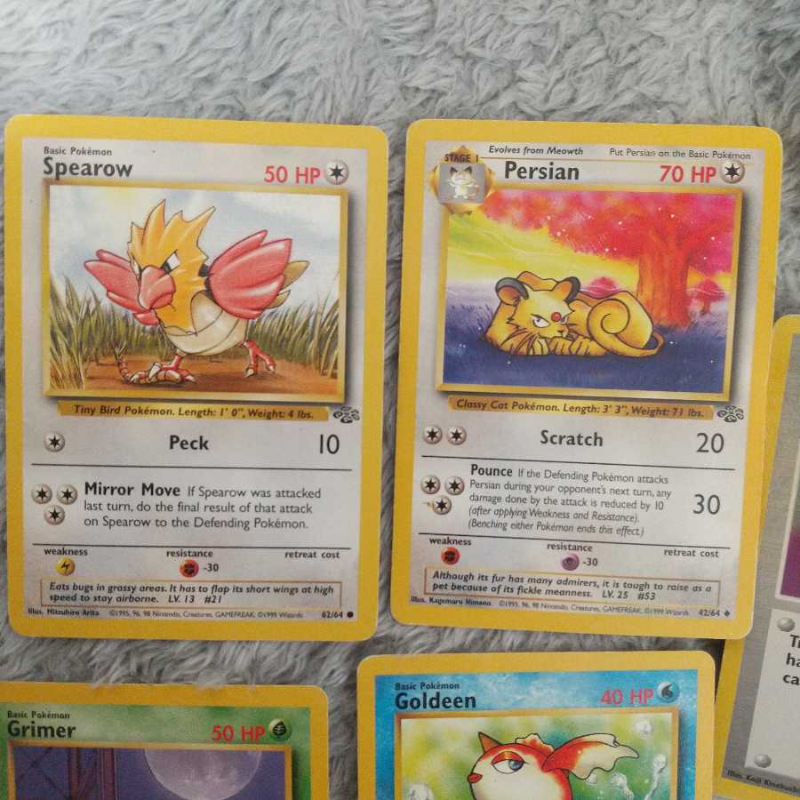 pocket monster (internationally popular cartoon series, originally a video game)