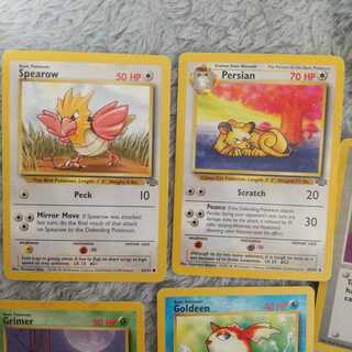 pocket monster (internationally popular cartoon series, originally a video game)