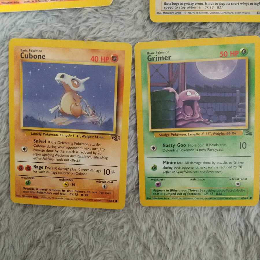 pocket monster (internationally popular cartoon series, originally a video game)