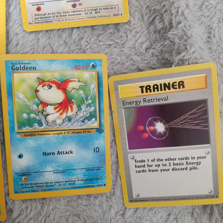 pocket monster (internationally popular cartoon series, originally a video game)