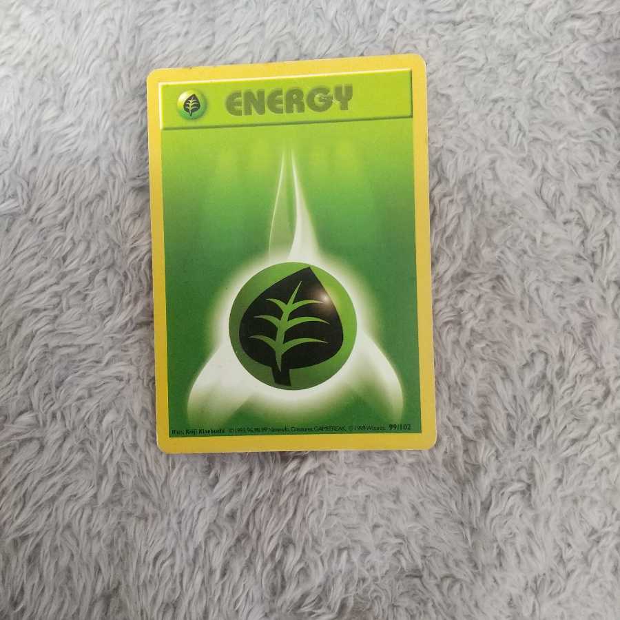 pocket monster (internationally popular cartoon series, originally a video game)