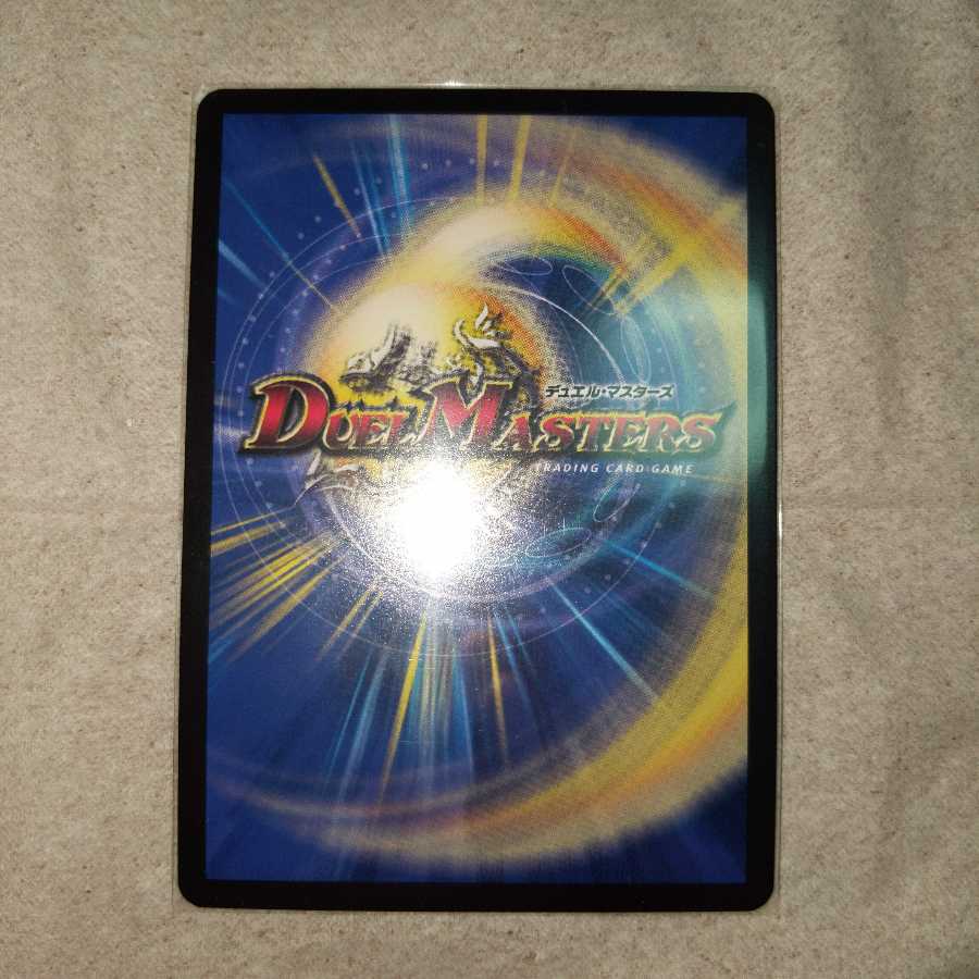 煌龍 サッヴァーク MDG