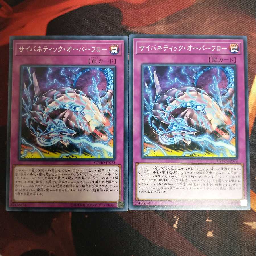 サイバネティック・オーバーフロー