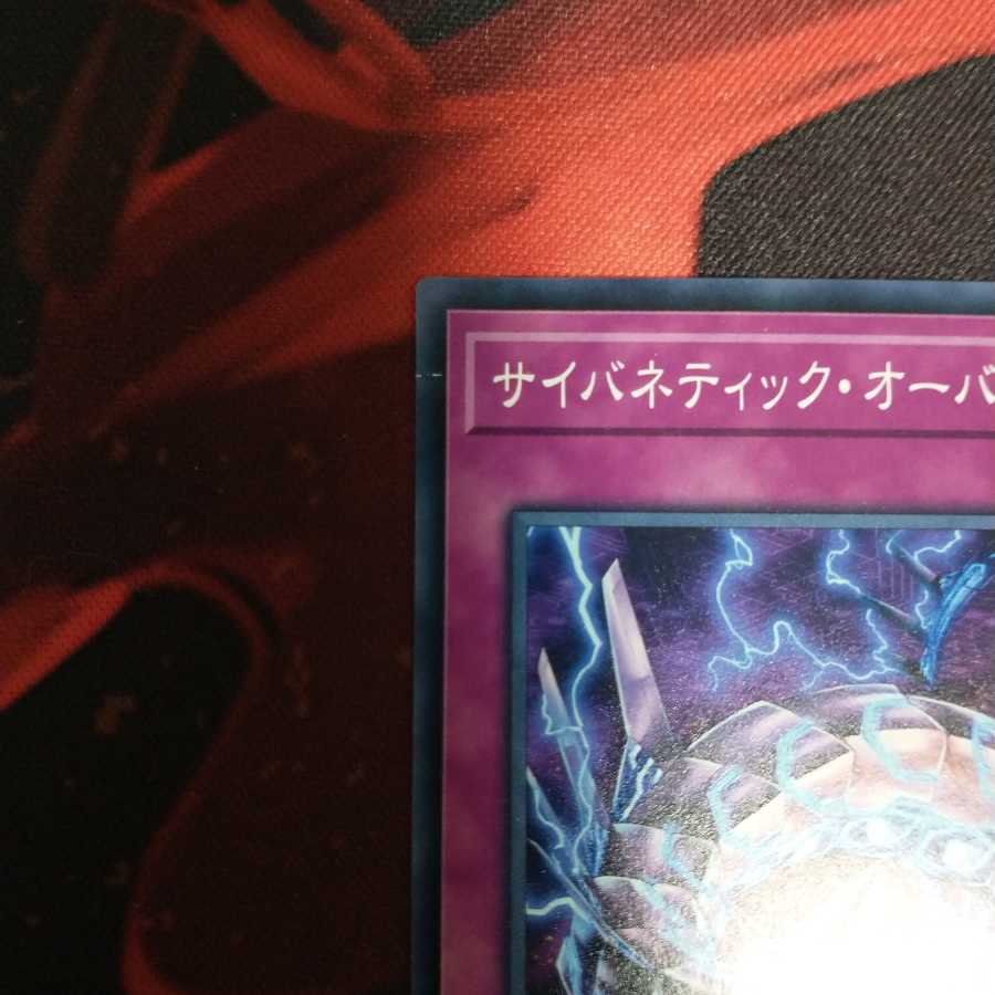 サイバネティック・オーバーフロー