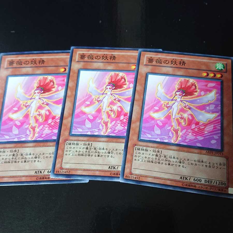 薔薇の妖精 ノーマル 3枚セット