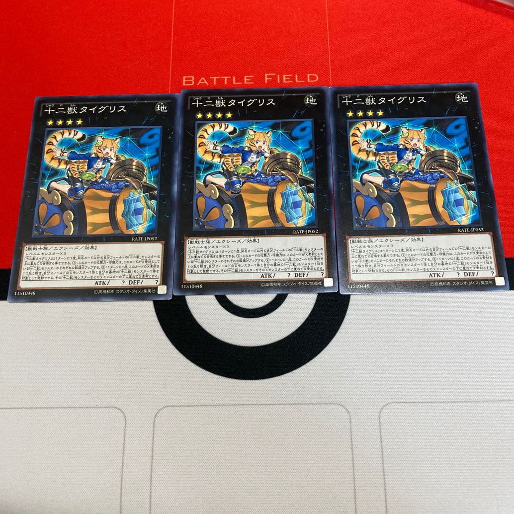 遊戯王　十二獣タイグリス ノーマル　3枚セット特価品