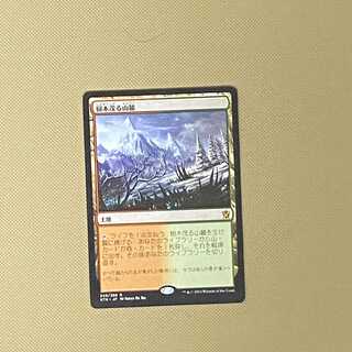 【日本語版】《樹木茂る山麓/Wooded Foothills》