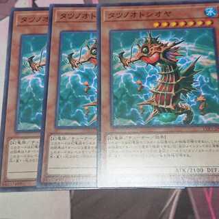 タツノオトシオヤ ノーマル 3枚