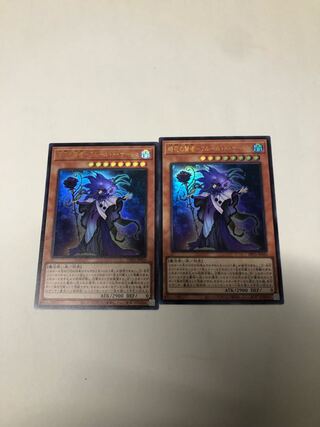 時花の賢者-フルール・ド・サージュ2枚セット