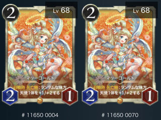 マリーゴールド2枚