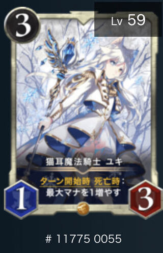 猫耳魔法騎士　ユキ