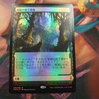 新緑の地下墓地 ZNE EXP Foil