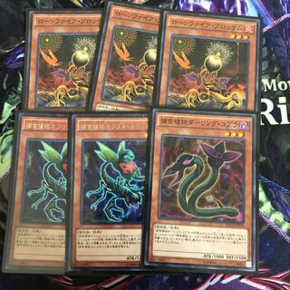 Combo Parts Set 1枚