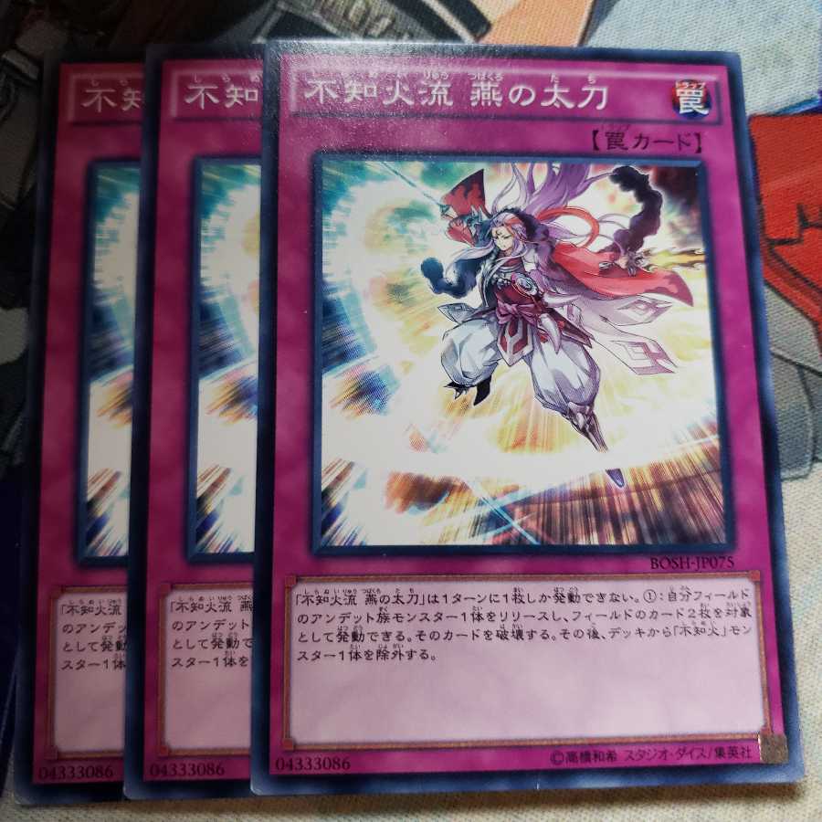 不知火流 燕の太刀