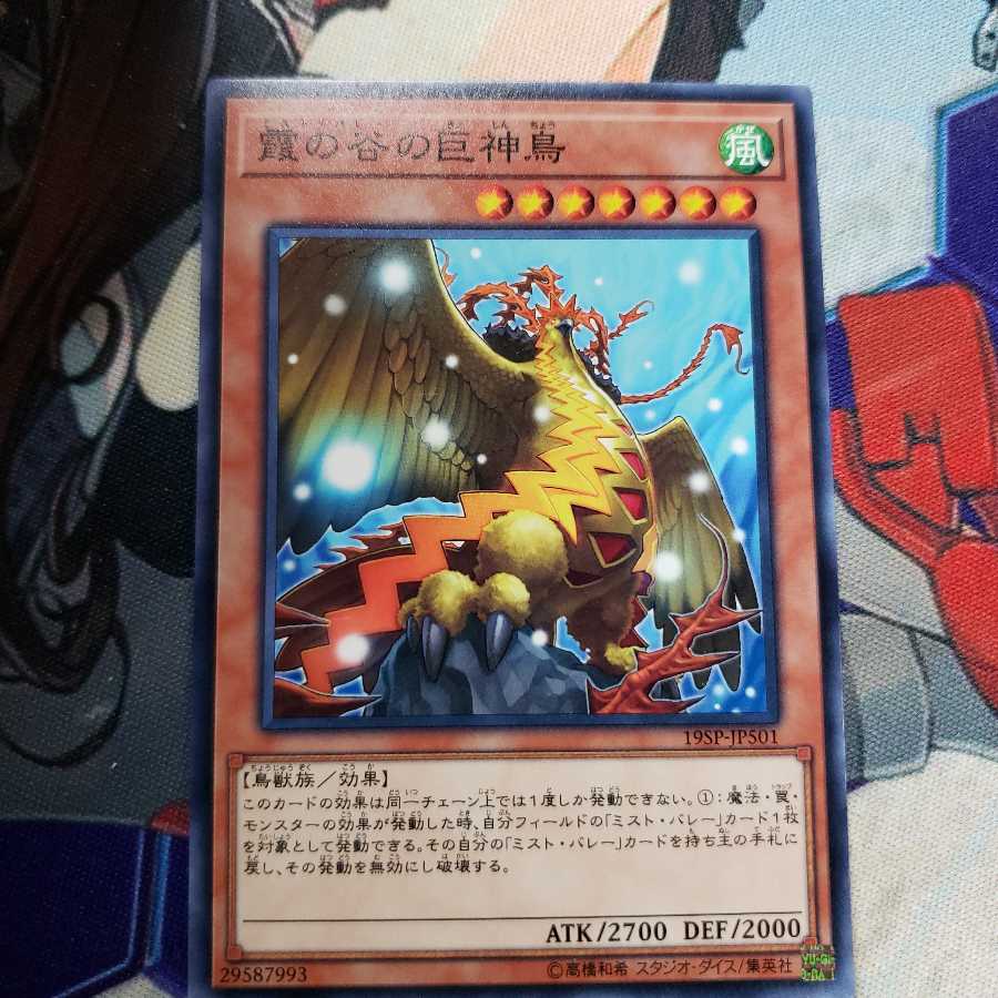 霞の谷の巨神鳥