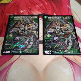 Forest Dream Dragon Fiona Forest