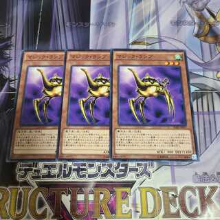 マジック・ランプ ノーマル　3枚