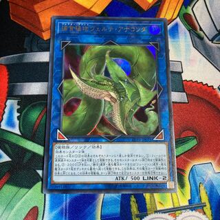 捕食植物ヴェルテ・アナコンダ ウルトラレア