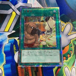 犬賞金 20thシークレットレア