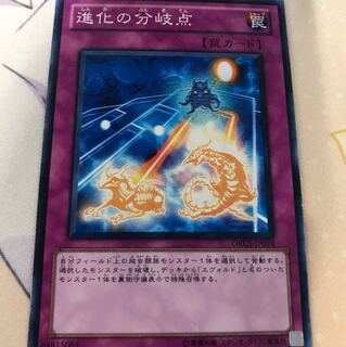 遊戯王 進化の分岐点 ノーマル
