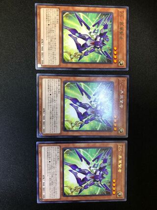 遊戯王　ZS-昇華賢者 3枚セット　レア