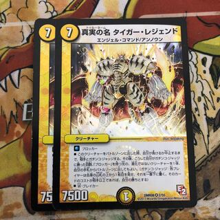 The True Name Tiger Legend, set of 2