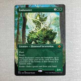 忍耐/Endurance 英語 ボーダレス 拡張