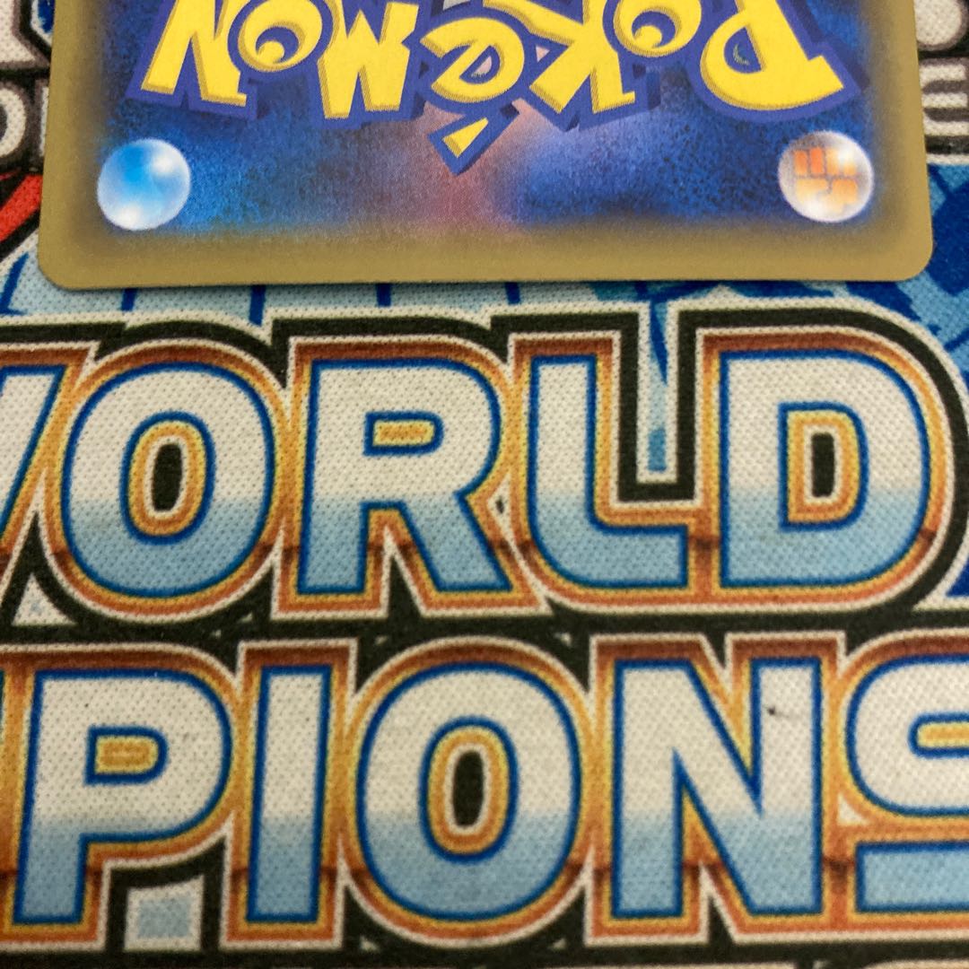 ピカチュウ＆ゼクロムGX UR 221/173