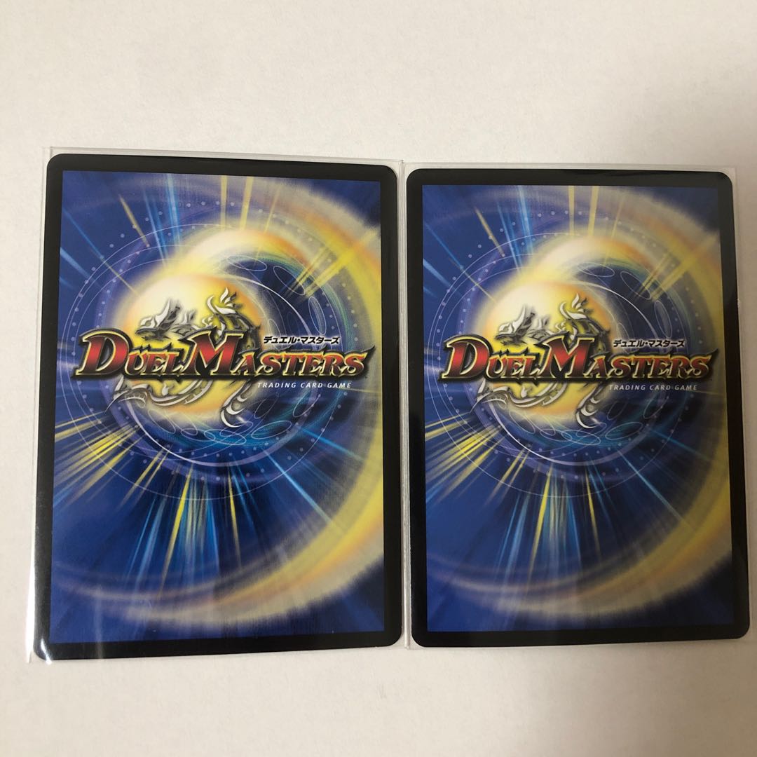 龍風混成 ザーディクリカ b 2枚