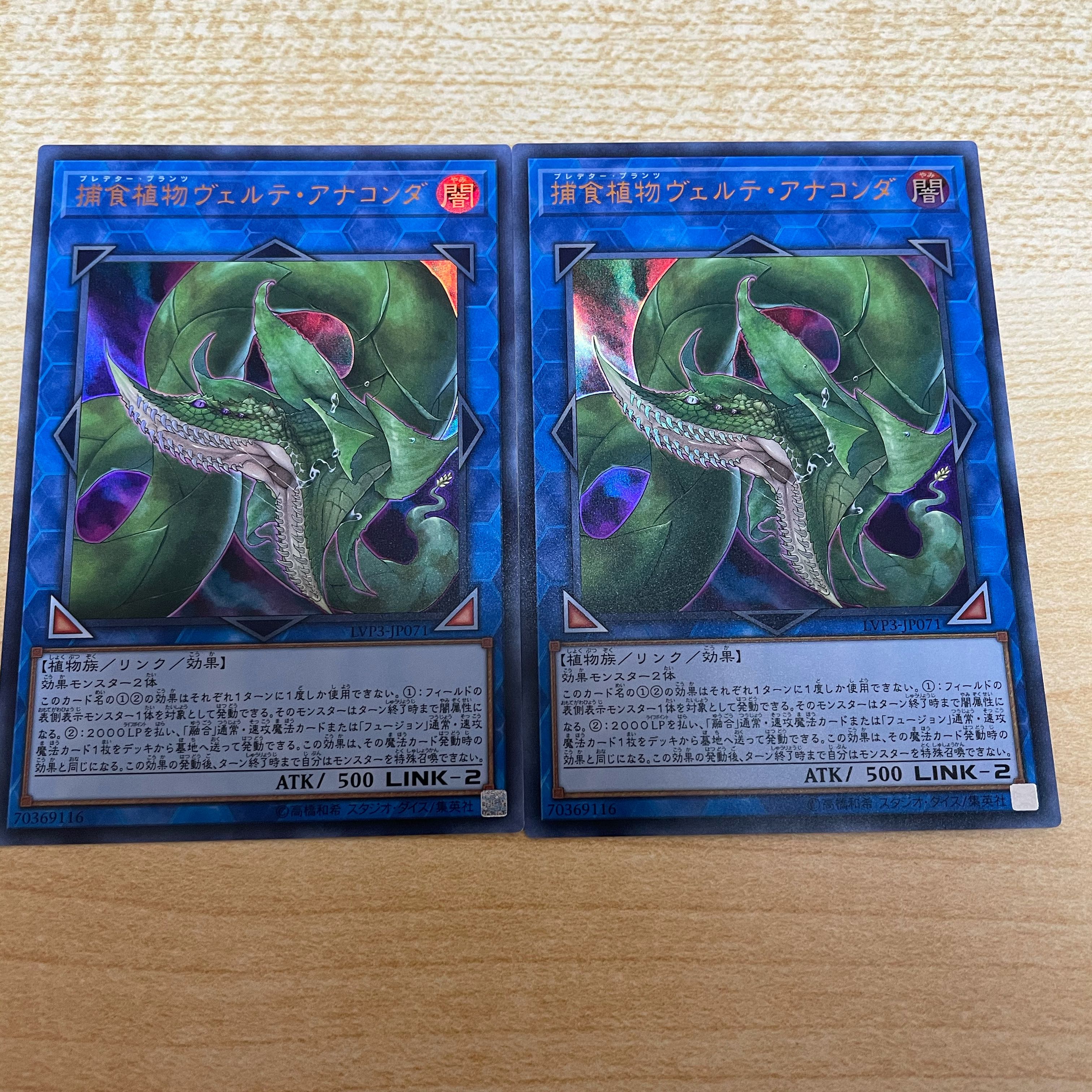 捕食植物ヴェルテ・アナコンダ ウルトラレア ×2