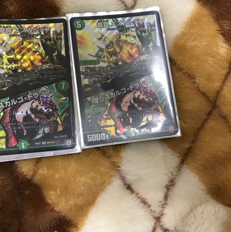 エスカルデン 2枚