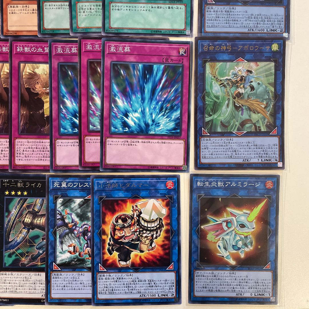 十二獣鉄獣戦線デッキ メイン40枚　EX15枚