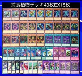 遊戯王　No.19  ガチ構築！！　捕食植物　デッキ40枚EX15枚