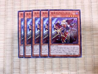 奇采のプルフィネス ノーマル　5枚