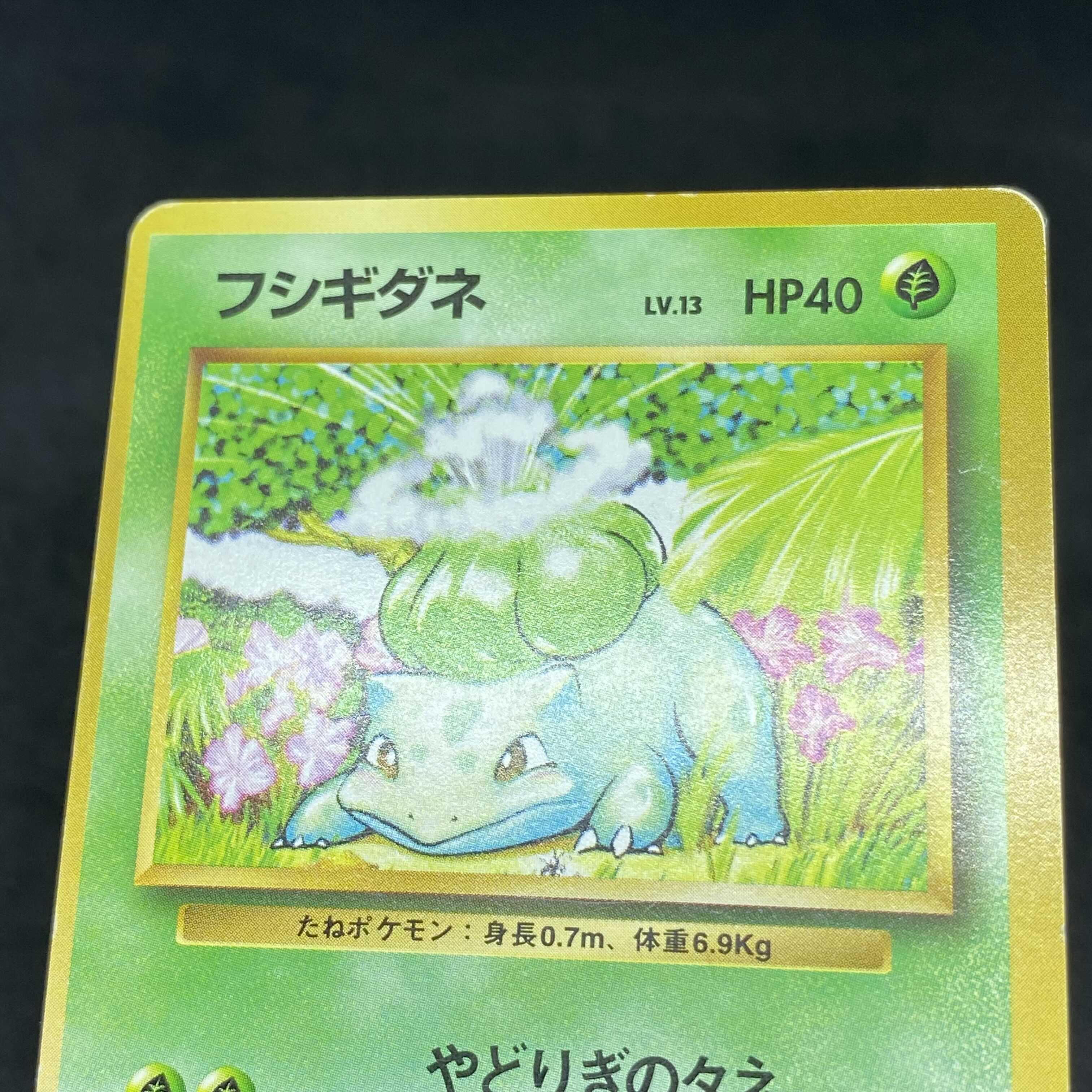 ポケモンカード 旧裏面 フシギダネ 初版 ☆なし マークなし