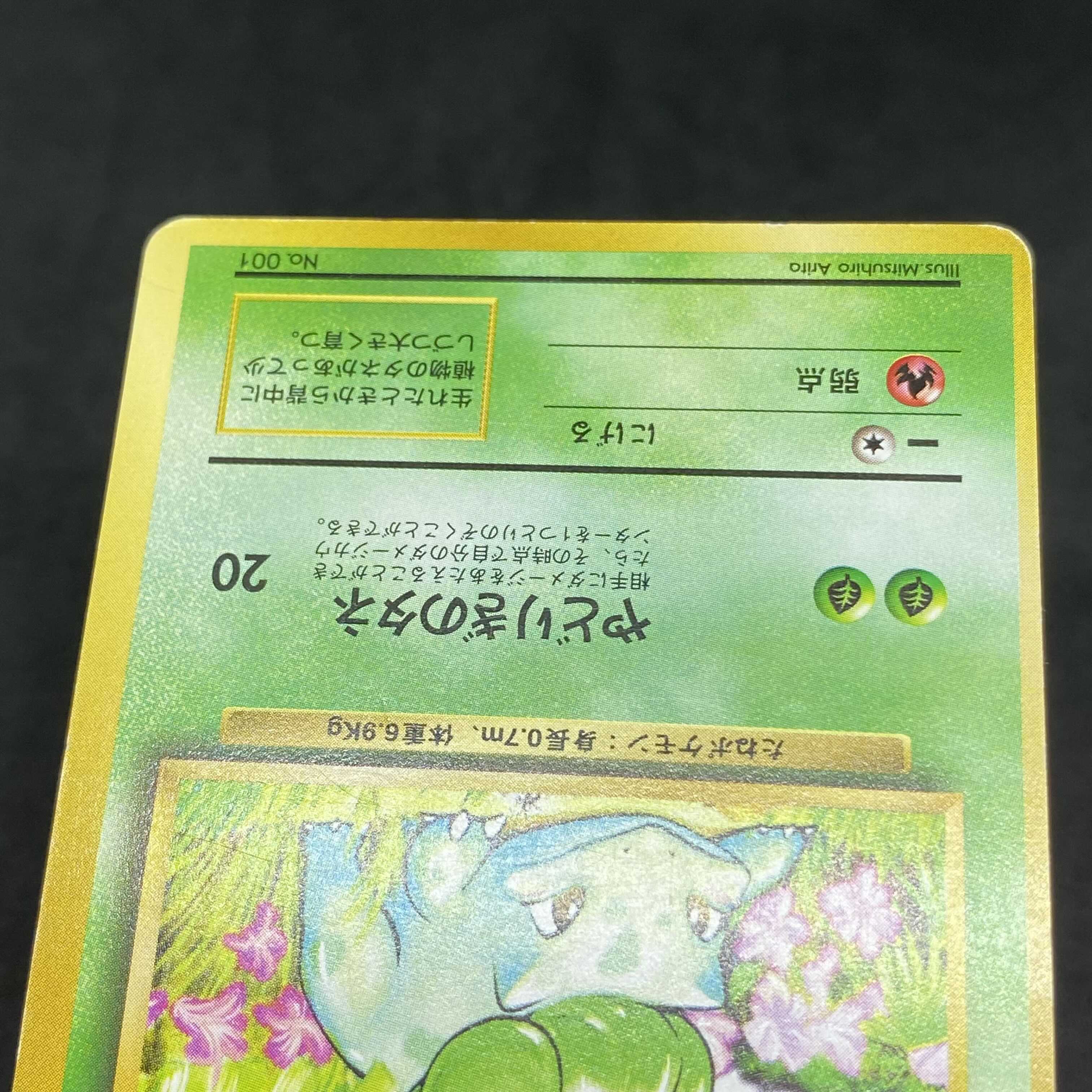 ポケモンカード 旧裏面 フシギダネ 初版 ☆なし マークなし