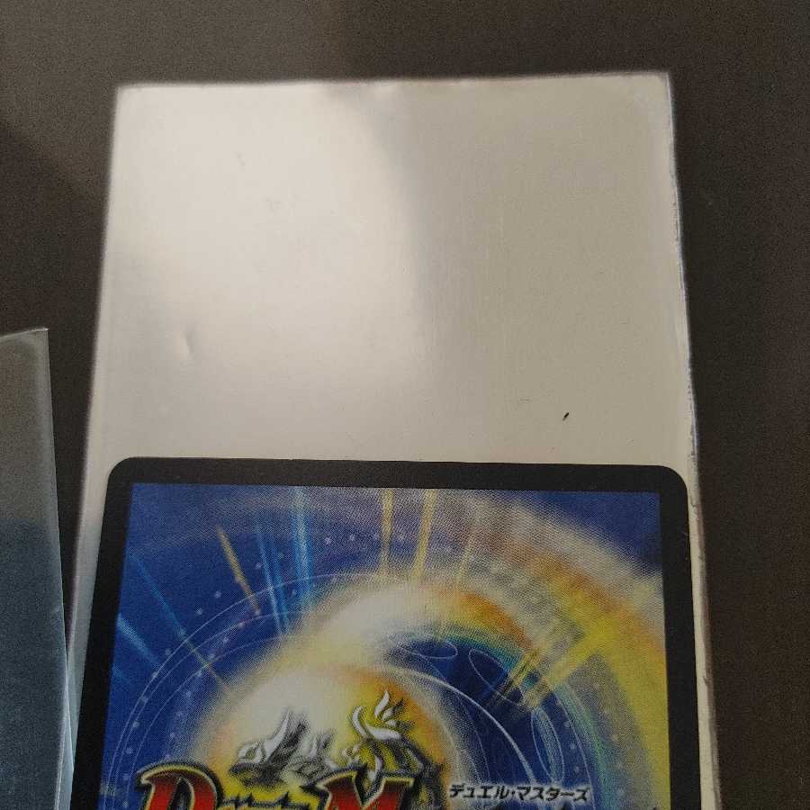 偽りの王 ヴィルヘルム　初期