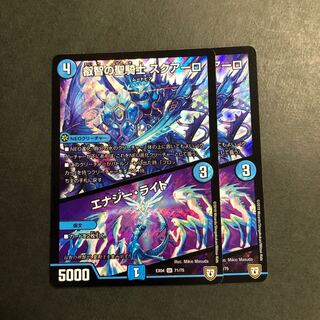 叡智の聖騎士 スクアーロ｜エナジー・ライト　2枚