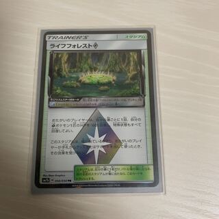 ライフフォレスト 1枚