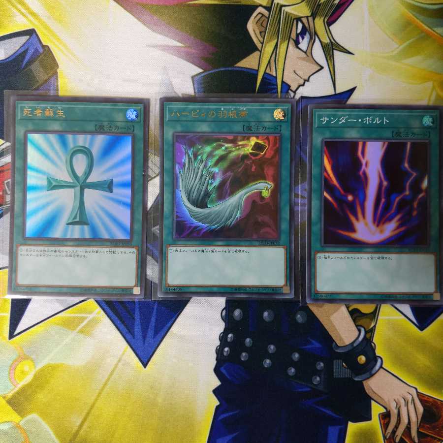 死者蘇生 ハーピィの羽根帚 サンダー・ボルト