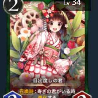 Gold 目出度しの君+Gold 寿ぎの君　2セット