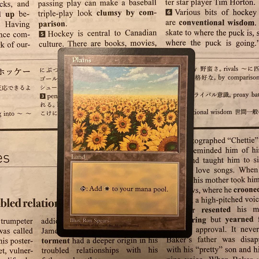 MTG 平地　APACランド　ひまわり　3枚セット MTG APACランド 平地 ひまわりの通販 Rey（1443388063） | magi