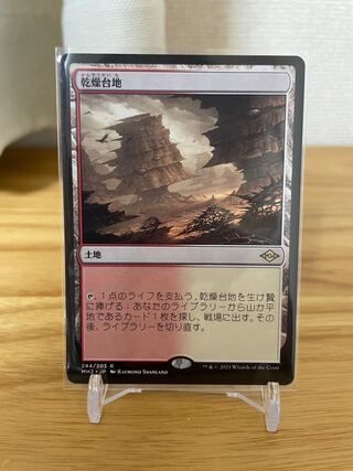 乾燥台地 レア【MH2】(244/303)